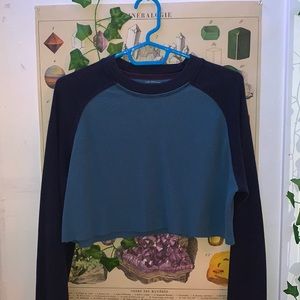 Indie blue cropped long sleeve